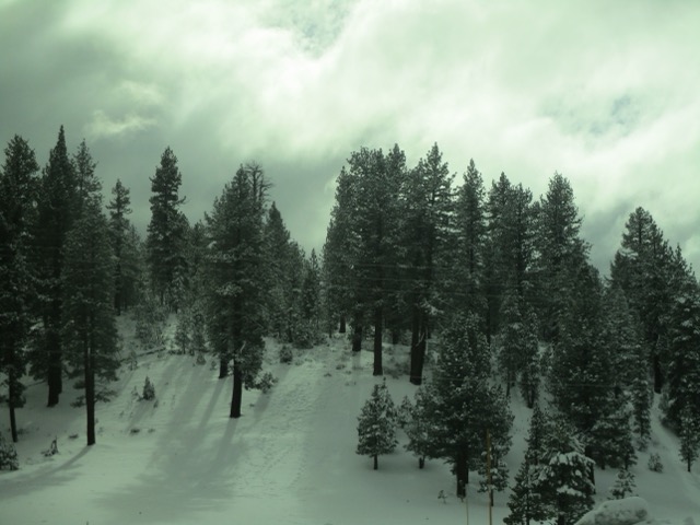 walking on campus at sunset